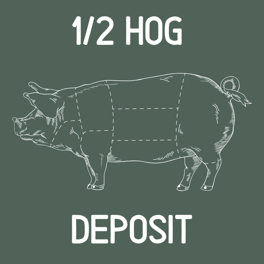 HALF HOG DEPOSIT